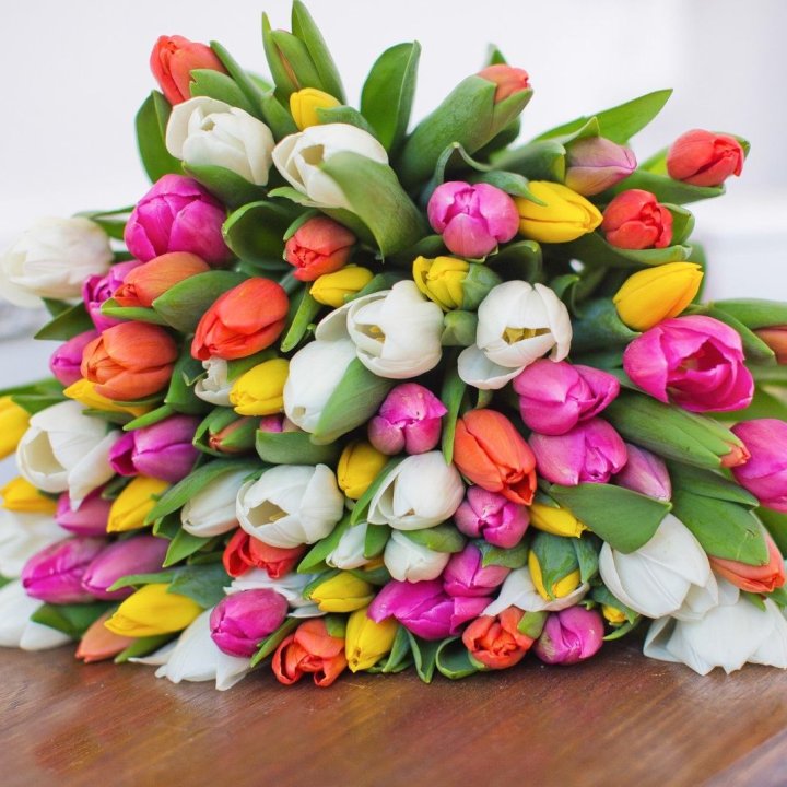79 тюльпанов "Рандом" в Самаре