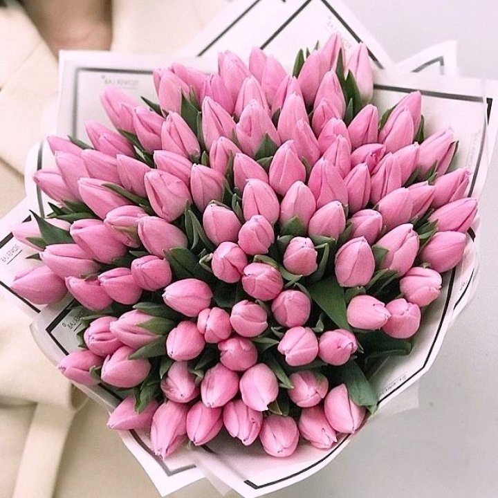 101 розовый тюльпан в белом в Самаре