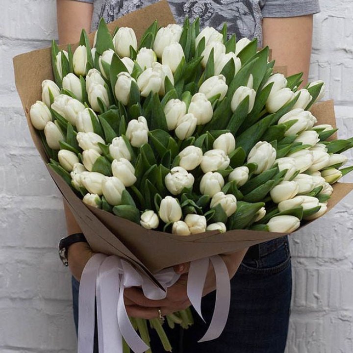 101 тюльпан сноу в Самаре