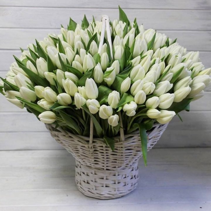 Корзина из 151 тюльпана в Самаре