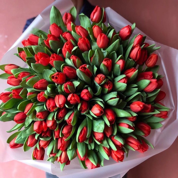 101 красный тюльпан в Самаре